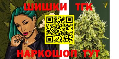 крисы Малгобек