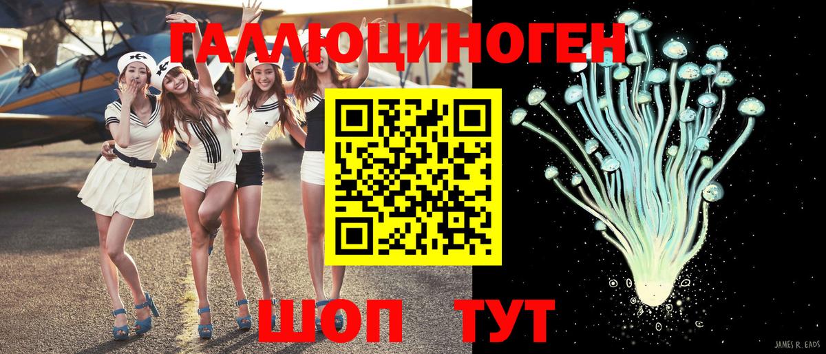 Галлюциногенные грибы Psilocybe Усинск